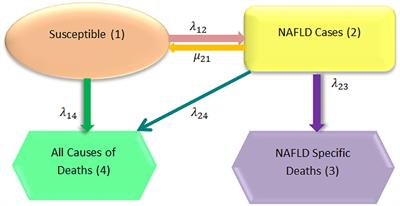 Log-Linear Model and Multistate Model to Assess the Rate of Fibrosis in Patients With NAFLD